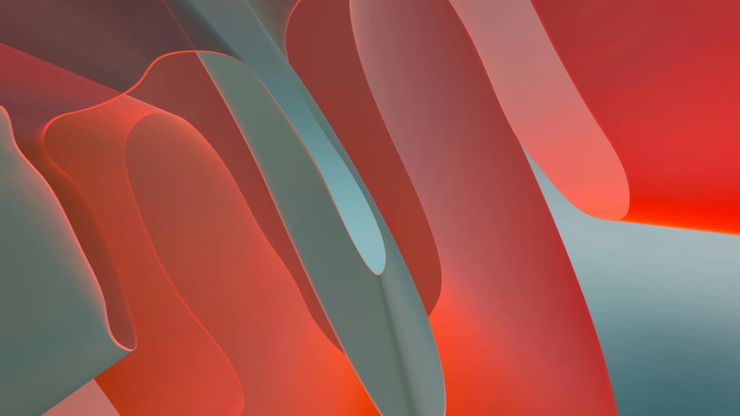 Website vs Mobile app: Which one does your business actually need?